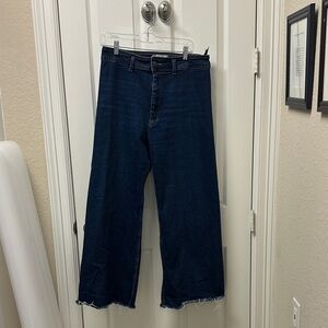 Zara Indigo Denim Trousers